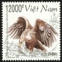 动物:亚洲:越南:vn199806.jpg