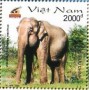 动物:亚洲:越南:vn200307.jpg