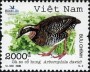 动物:亚洲:越南:vn200602.jpg
