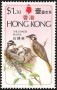 动物:亚洲:香港:hk197502.jpg