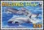 动物:亚洲:马尔代夫:mv200903.jpg