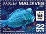 动物:亚洲:马尔代夫:mv201606.jpg