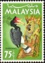 动物:亚洲:马来西亚:my196504.jpg