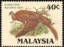 动物:亚洲:马来西亚:my198604.jpg