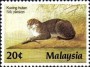 动物:亚洲:马来西亚:my198702.jpg