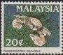 动物:亚洲:马来西亚:my198902.jpg