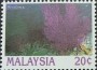 动物:亚洲:马来西亚:my199504.jpg
