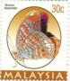 动物:亚洲:马来西亚:my199607.jpg