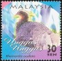 动物:亚洲:马来西亚:my200002.jpg
