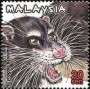 动物:亚洲:马来西亚:my200006.jpg