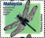 动物:亚洲:马来西亚:my200022.jpg