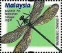 动物:亚洲:马来西亚:my200024.jpg