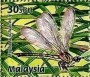动物:亚洲:马来西亚:my200045.jpg