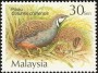 动物:亚洲:马来西亚:my200101.jpg