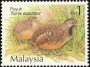 动物:亚洲:马来西亚:my200103.jpg