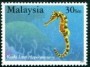 动物:亚洲:马来西亚:my200110.jpg