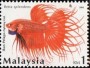 动物:亚洲:马来西亚:my200310.jpg