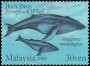 动物:亚洲:马来西亚:my200406.jpg