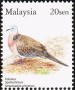 动物:亚洲:马来西亚:my200505.jpg