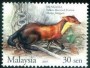 动物:亚洲:马来西亚:my200513.jpg