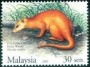 动物:亚洲:马来西亚:my200514.jpg