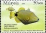 动物:亚洲:马来西亚:my200701.jpg