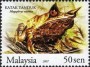 动物:亚洲:马来西亚:my200705.jpg