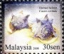 动物:亚洲:马来西亚:my200814.jpg