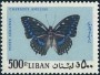 动物:亚洲:黎巴嫩:lb196516.jpg