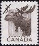 动物:北美洲:加拿大:ca195302.jpg