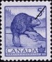 动物:北美洲:加拿大:ca195402.jpg