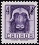 动物:北美洲:加拿大:ca195501.jpg