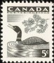动物:北美洲:加拿大:ca195701.jpg