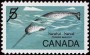 动物:北美洲:加拿大:ca196802.jpg