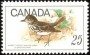 动物:北美洲:加拿大:ca196903.jpg