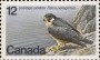 动物:北美洲:加拿大:ca197801.jpg
