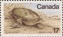 动物:北美洲:加拿大:ca197901.jpg