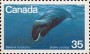 动物:北美洲:加拿大:ca197902.jpg