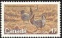 动物:北美洲:加拿大:ca198002.jpg