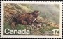 动物:北美洲:加拿大:ca198101.jpg