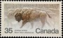 动物:北美洲:加拿大:ca198102.jpg