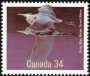 动物:北美洲:加拿大:ca198602.jpg