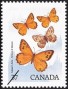 动物:北美洲:加拿大:ca198803.jpg