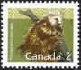 动物:北美洲:加拿大:ca198806.jpg