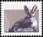 动物:北美洲:加拿大:ca198808.jpg