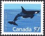 动物:北美洲:加拿大:ca198813.jpg