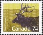 动物:北美洲:加拿大:ca198814.jpg