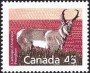 动物:北美洲:加拿大:ca199001.jpg