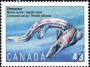 动物:北美洲:加拿大:ca199302.jpg