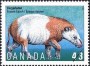 动物:北美洲:加拿大:ca199403.jpg